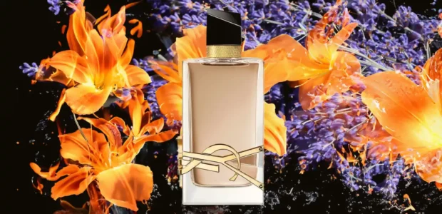 افضل عطور سان لوران