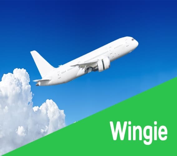 موقع وينجي Wingie