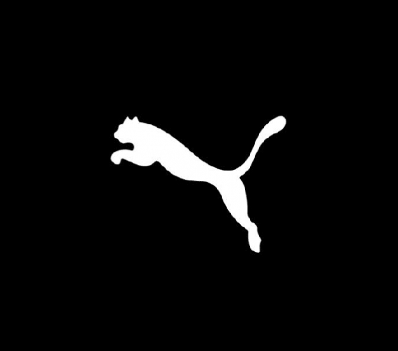 Puma Shoes Brand